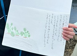 農業体験会後の感想